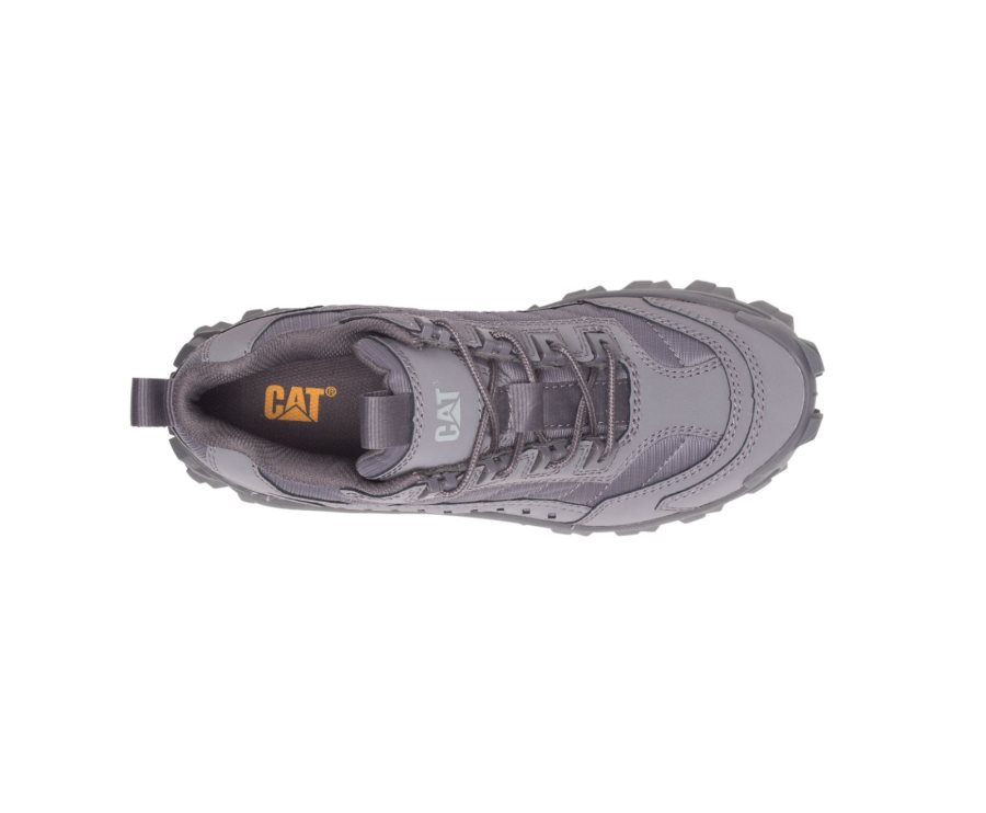 Caterpillar CAT Intruder Shoe Moški Casual Čevlji Sive | CAT-078MU