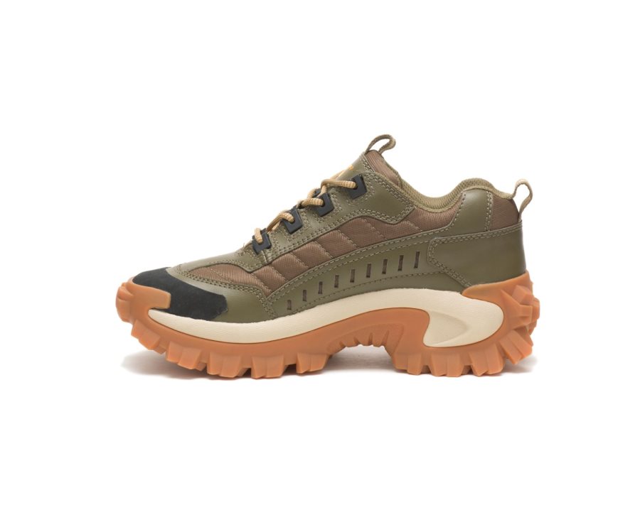 Caterpillar CAT Intruder Shoe Moški Casual Čevlji Temno Olivno Zelene Rjave | CAT-460BA