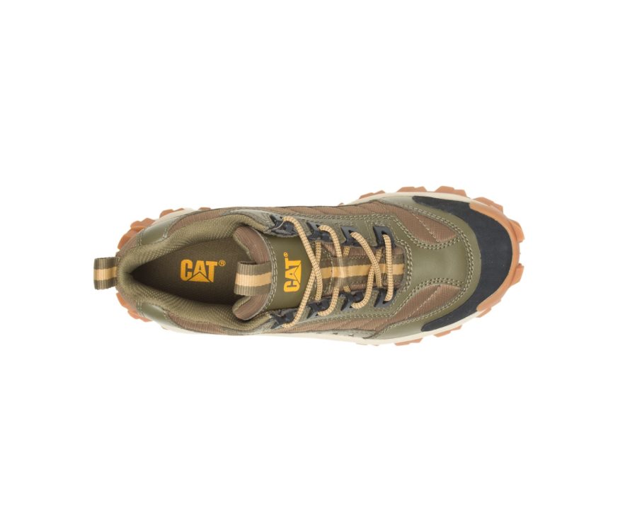 Caterpillar CAT Intruder Shoe Moški Casual Čevlji Temno Olivno Zelene Rjave | CAT-460BA