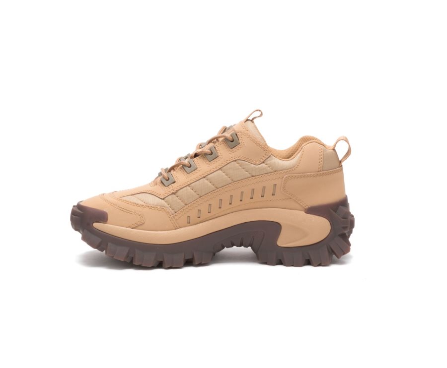 Caterpillar CAT Intruder Shoe Moški Casual Čevlji Rjave | CAT-549ZN