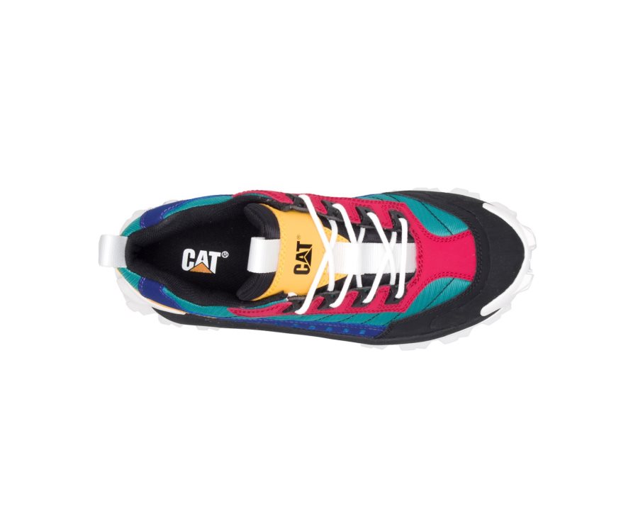 Caterpillar CAT Intruder Shoe Moški Casual Čevlji Črne Večbarvni | CAT-734LQ