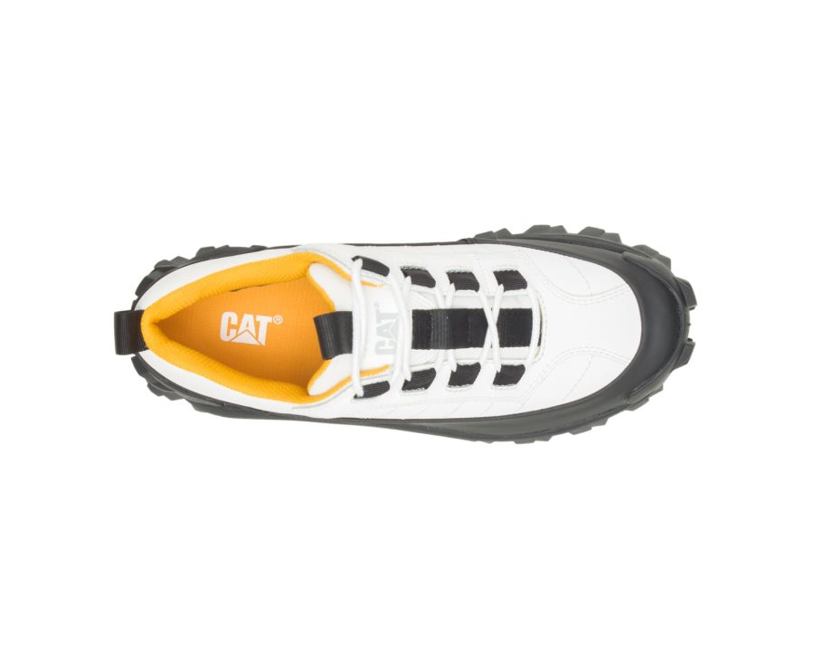 Caterpillar CAT Intruder Waterproof Galosh Moški Superge Bele | CAT-248KG